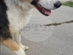 Снимка: Община Варна