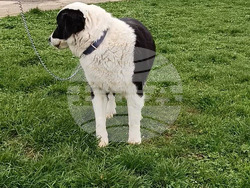 Снимка: Община Варна