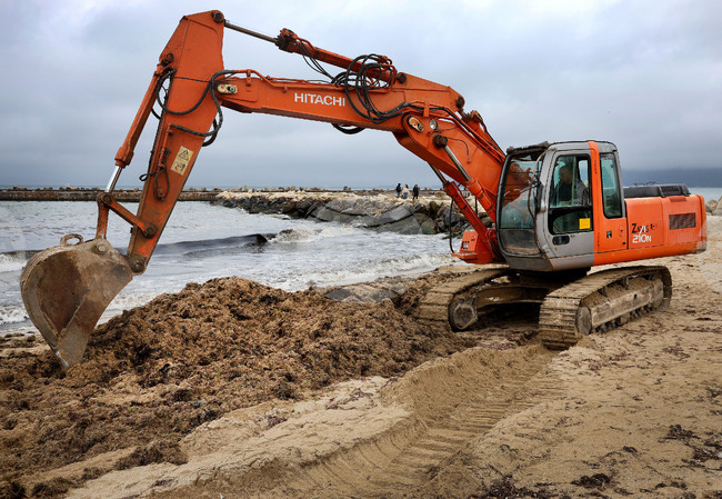 Замърсяването с мазут на брега във Варна е почистено