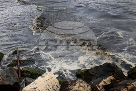 Варна - Нефтен разлив - почистване