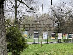 Изложба представя 18-те финалисти от конкурса за рисунка „Шофирай със сърце и разум“, визия – организатори