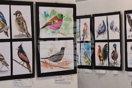 Кърджали - Международен ден на птиците - изложба