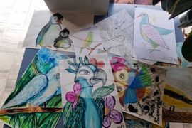 Кърджали - Международен ден на птиците - изложба