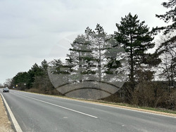 Снимка: АПИ