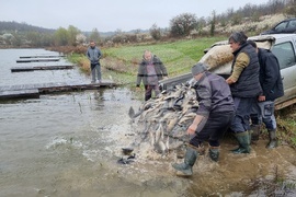 Село Вирове - язовир Долна вода - зарибяване