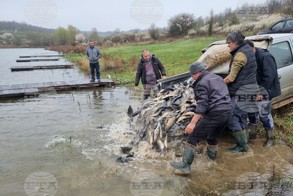 Село Вирове - язовир Долна вода - зарибяване