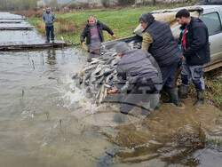 Село Вирове - язовир Долна вода - зарибяване