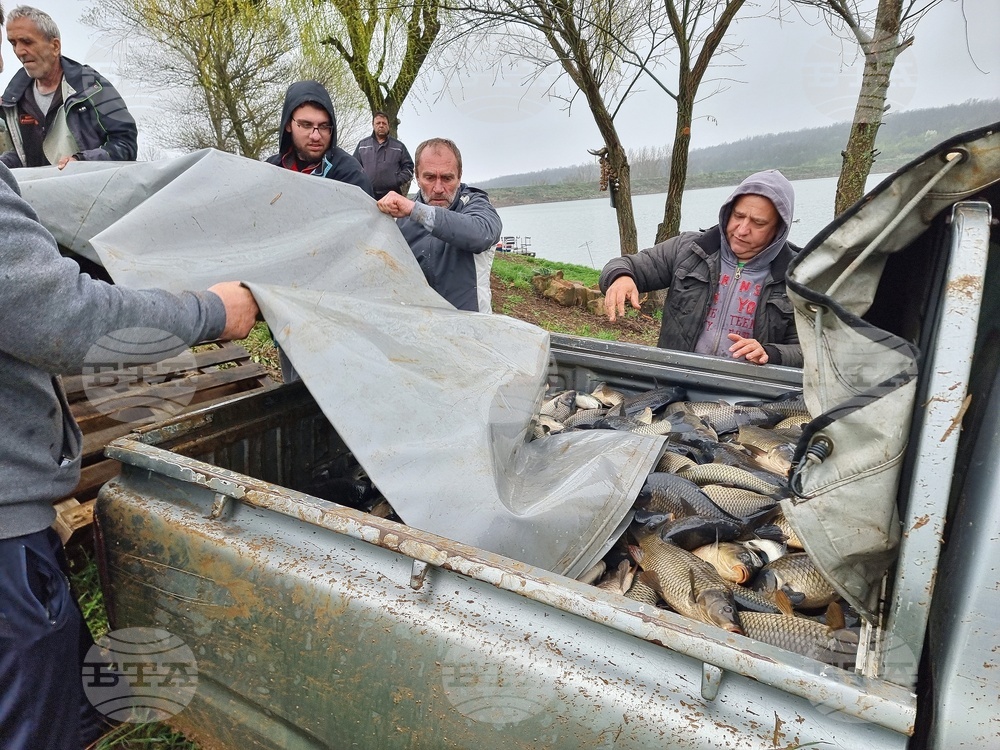 Село Вирове - язовир Долна вода - зарибяване