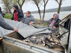 Село Вирове - язовир Долна вода - зарибяване
