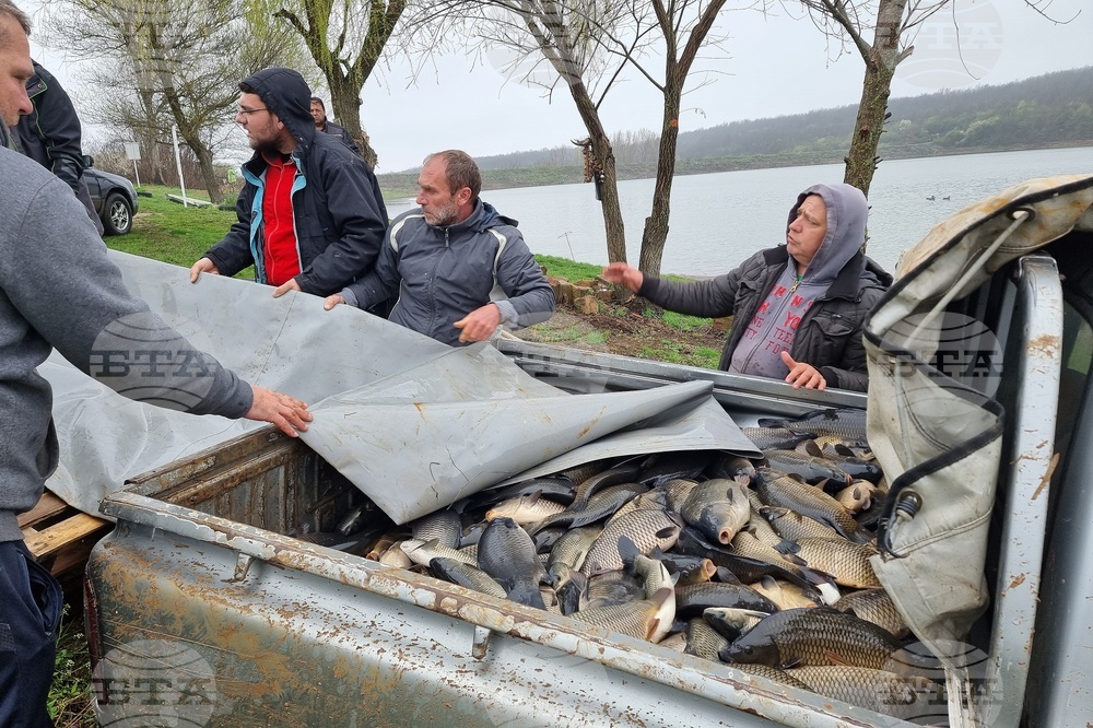 Село Вирове - язовир Долна вода - зарибяване