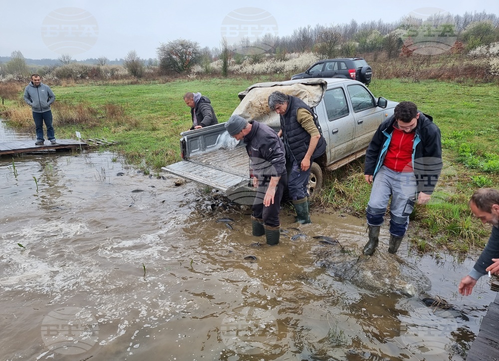Село Вирове - язовир Долна вода - зарибяване
