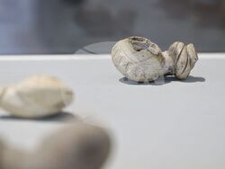 Бургас - Археологически музей - керамични лули