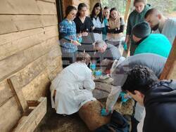 Снимка: Община Стара Загора