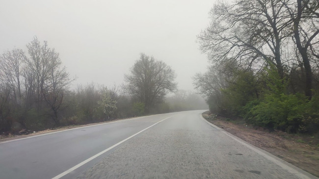 Разпоредиха отстраняване на цялото ръководство на пътното управление в Плевен и оставиха в ареста обвиняемия за катастрофата край Телиш 