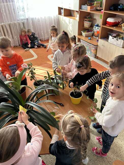Децата от детска градина „Делфинче” към Неделно училище „Българска светлица” в Украйна се погрижиха за стайните цветя