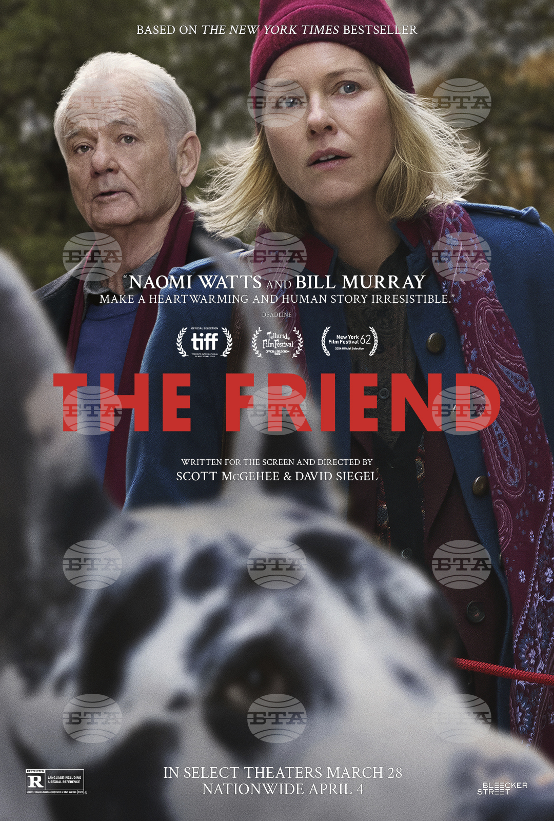 Film Review - The Friend