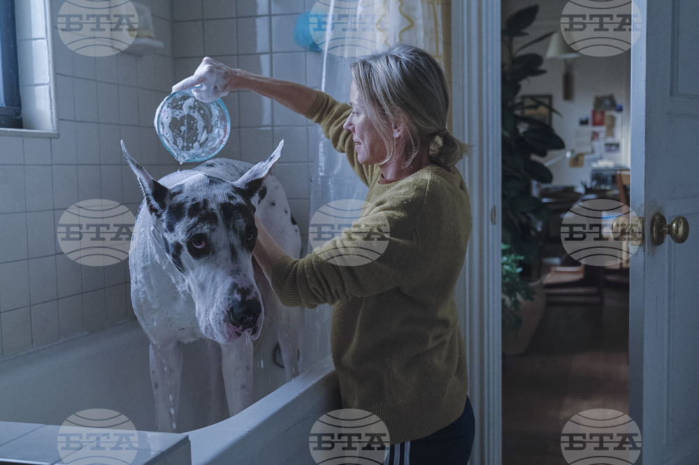 Film Review - The Friend