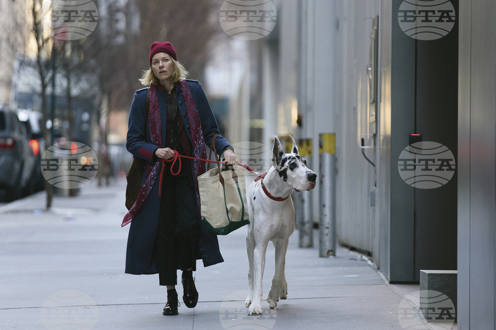 Film Review - The Friend
