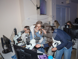 Над 300 кандидат-студенти посетиха Деня на отворените врати в Медицинския университет в София. Снимка: МУ-София