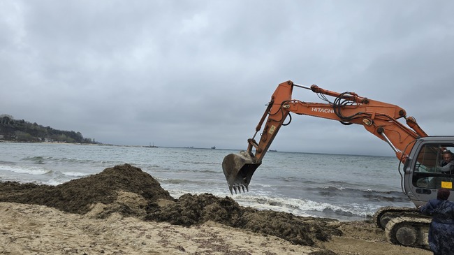 Authorities Declare Partial State of Disaster in Varna to Facilitate Fuel Oil Slick Clean-up