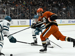 Sharks Ducks Hockey