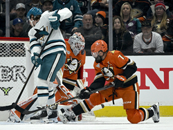Sharks Ducks Hockey