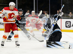 Utah Flames Hockey