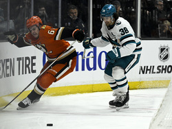 Sharks Ducks Hockey