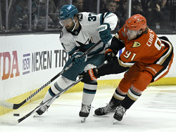 Sharks Ducks Hockey