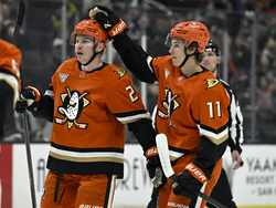 Sharks Ducks Hockey