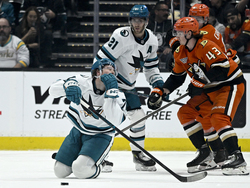 Sharks Ducks Hockey