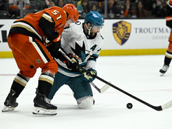Sharks Ducks Hockey