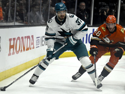 Sharks Ducks Hockey