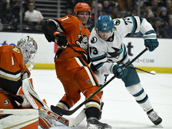 Sharks Ducks Hockey