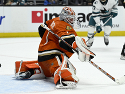 Sharks Ducks Hockey