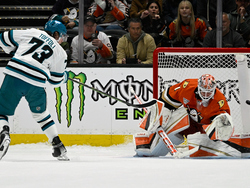 Sharks Ducks Hockey