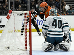 Sharks Ducks Hockey