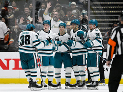 Sharks Ducks Hockey