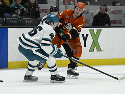 Sharks Ducks Hockey