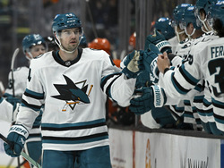 Sharks Ducks Hockey