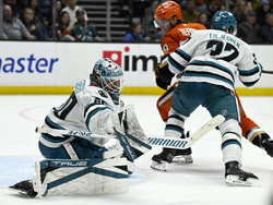 Sharks Ducks Hockey