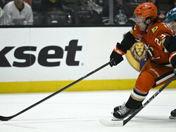 Sharks Ducks Hockey