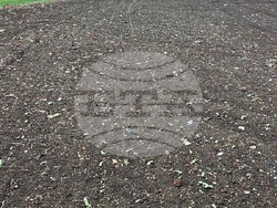 Снимка: Български фермерски съюз