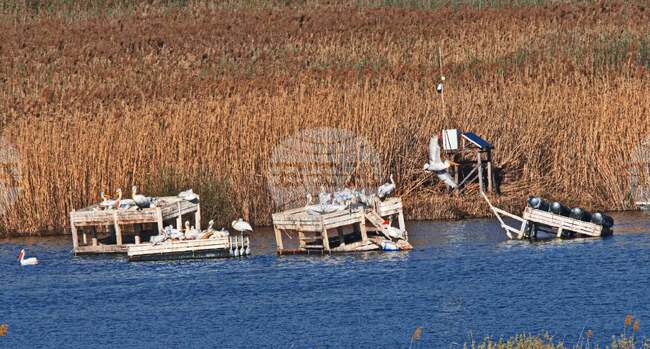 Water Level in Lake Srebarna Begins to Recover After Critical Summer Drought, Says Environment Minister