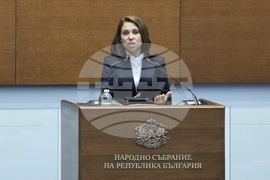 Народно събрание - заседание