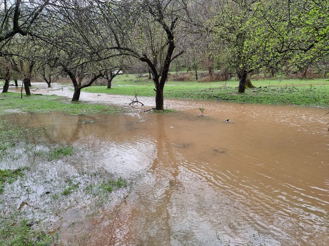Три къщи в село Говежда, община Георги Дамяново, са наводнени от подпочвени води, река Дългоделска Огоста е излязла от коритото си извън населени места