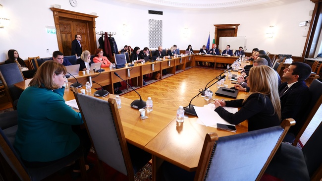 Draft Resolution Amending Parliament's Rules of Procedure Passes Committee Stage