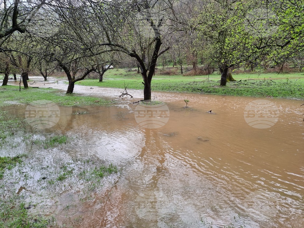 Село Георги Дамяново - река Дългоделска Огоста - разлив