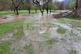 Село Георги Дамяново - река Дългоделска Огоста - разлив