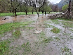 Село Георги Дамяново - река Дългоделска Огоста - разлив